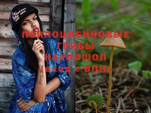 прущая мука Мурманск